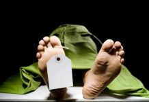 No Stealing! Man Dies While Trying To Steal Electricity!