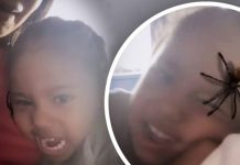 Kim Kardashian Frightens Her Son Saint, 3, By Using Creepy SpiderPhone Snapchat Filter
