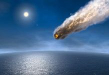 NASA asteroid warning: 177FT space rock ‘could’ hit Earth at 61,000MPH