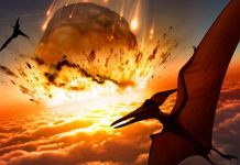 Asteroid WARNING: Dinosaur-Killing Asteroid WILL Hit Earth Again