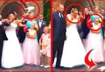 Horrified Bride’s Dove Release Goes Very Wrong As ‘Dead’ Bird Falls To Ground
