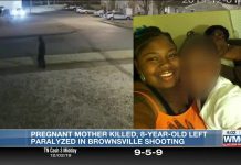 8-Month Pregnant Mother Shot Dead, 8-year-old Daughter Left Paralyzed In Brutal Texas Shooting.