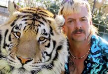 Netflix says, “Tiger King is as popular as Stranger Things”