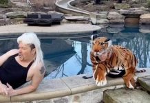 Jenny McCarthy & Donnie Wahlberg and Are Quite Obsessed With ‘Tiger King’