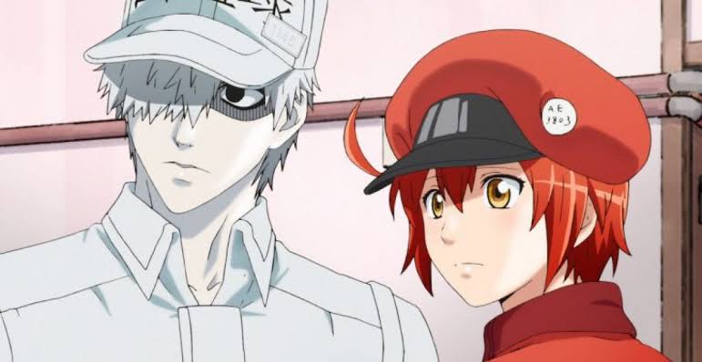 Cells at work