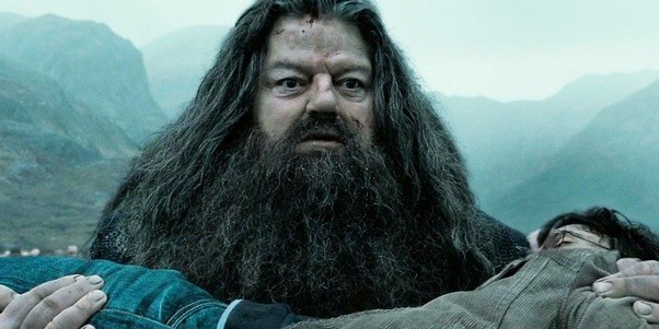 hagrid