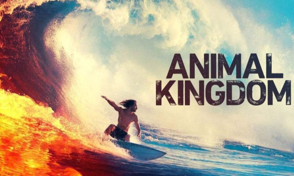 Animal Kingdom Season 5 Netflix Aus - QANIML