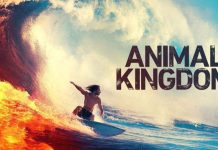 Animal Kingdom Season 5: Is it cancelled or not? Read to find out more Animal-Kingdom-Season-5