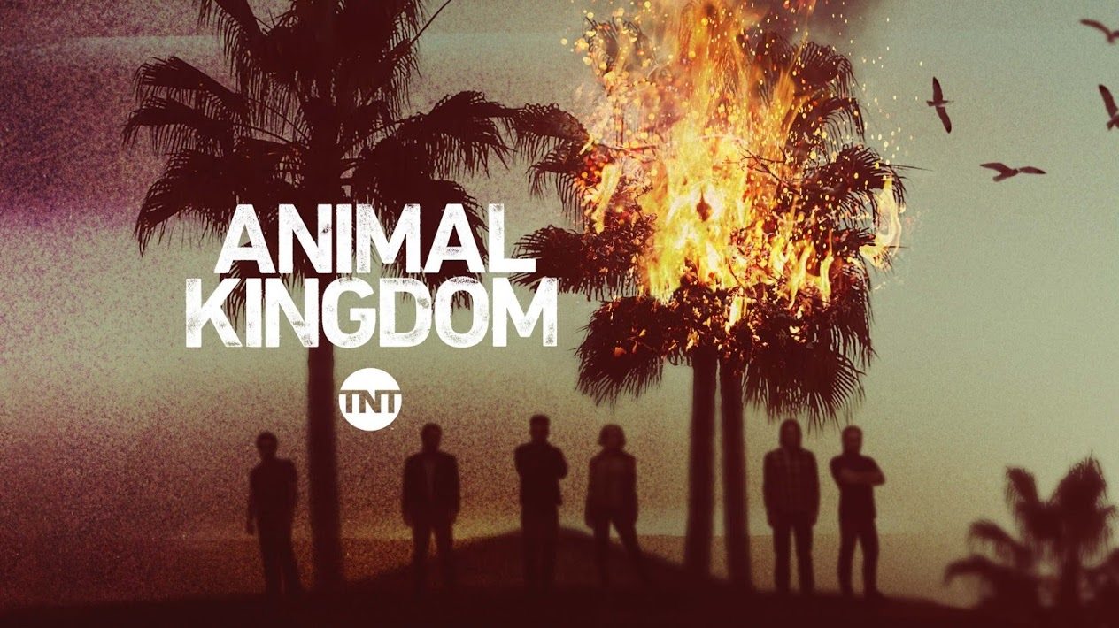 Animal-Kingdom
