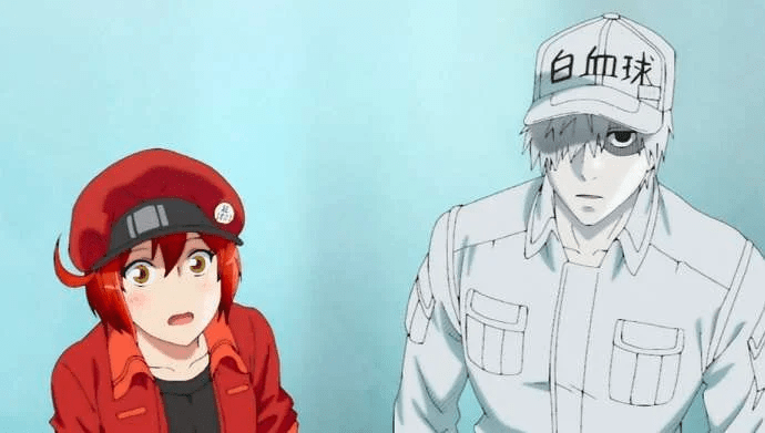 cells-at-work-season-2-anime