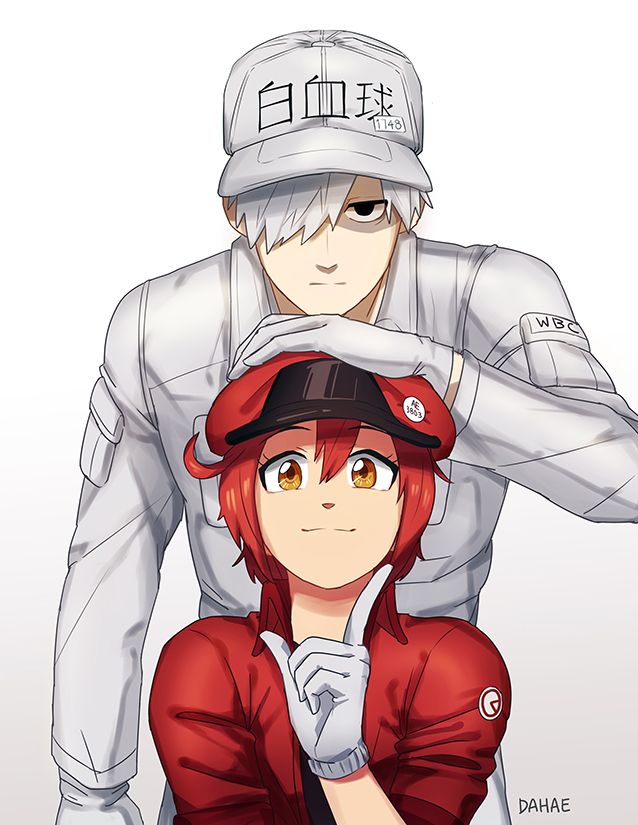 cells-at-work-manga-series