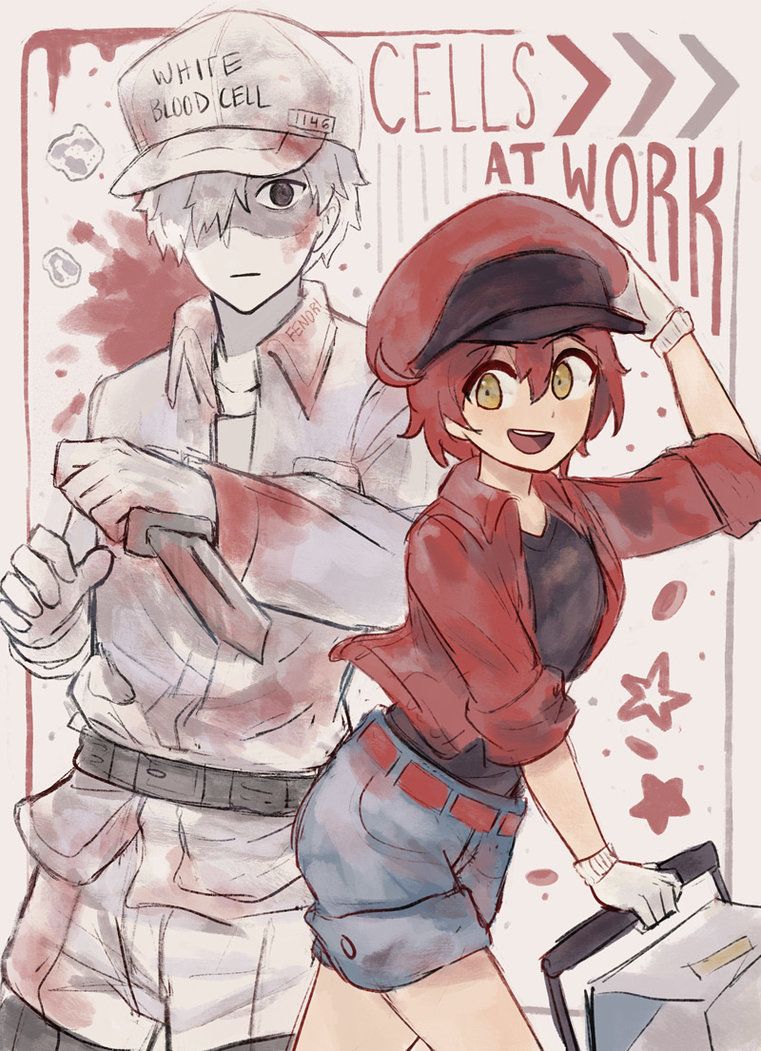 Cells-at-work-anime