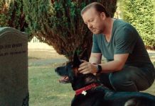 Ricky Gervais’ After Life is there a Season 3? Read to find out more Ricky-Gervais-After-life-season-3