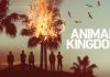 Animal Kingdom Season 5: When Will We Get The New Season? Everything About It! animal-kingdom-poster-5