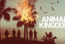 Animal Kingdom Season 5: When Will We Get The New Season? Everything About It! animal-kingdom-poster-5