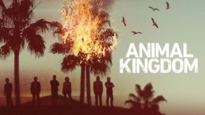 Animal Kingdom Season 5: When Will We Get The New Season? Everything