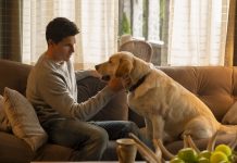 Upload Season 2: What is known so far UPLOAD