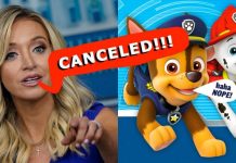 PAW Patrol Hasn’t Been Cancelled: Kayleigh McEnany Claims Denied paw-patrol