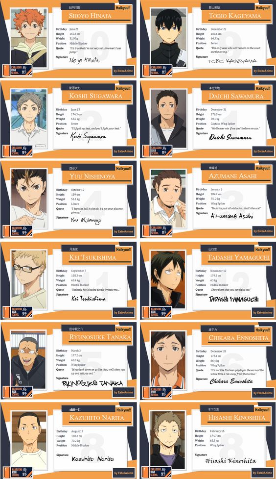 Haikyuu Season 5 Release Date, Cast, Plot, Characters