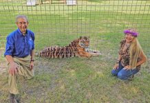 Tiger King: Joe Exotic Series confirmed at NBC Tiger King: Joe Exotic Series confirmed at NBC