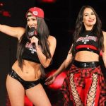 Nikki and Brie Bella: Twins share Postpartum Selfies! Nikki and Brie Bella
