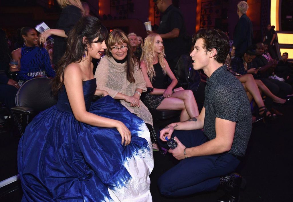 Shawn Mendes And Camila Cabello Media1