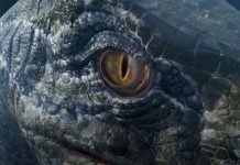 Jurassic World 3: On-Set Pictures reveal Dangerous Dinosaurs’ Look! Jurassic World 3