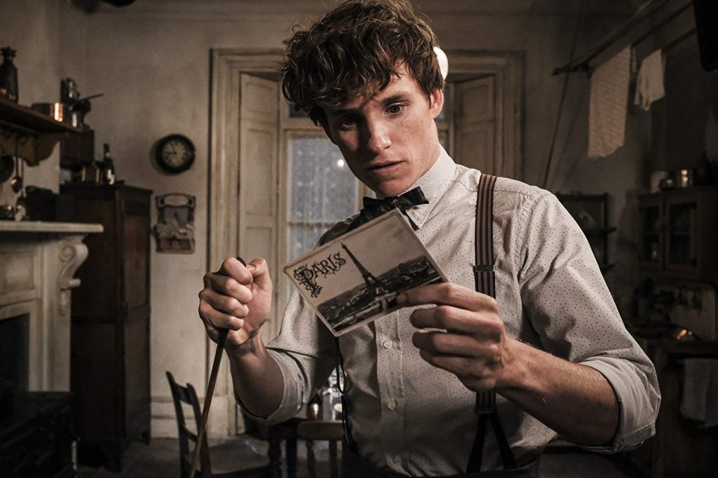 Fantastic Beasts Newt Scamader