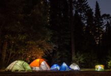 10 Things to Know Before Going Camping in the Netherlands in 2024