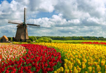 How to Have an Original Holiday with Children in the Netherlands – 2024 Guide