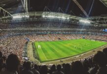 How to Get Closer to Sports Through Gambling