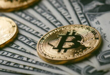 How to Calculate Bitcoin Profit in 5 Easy Steps