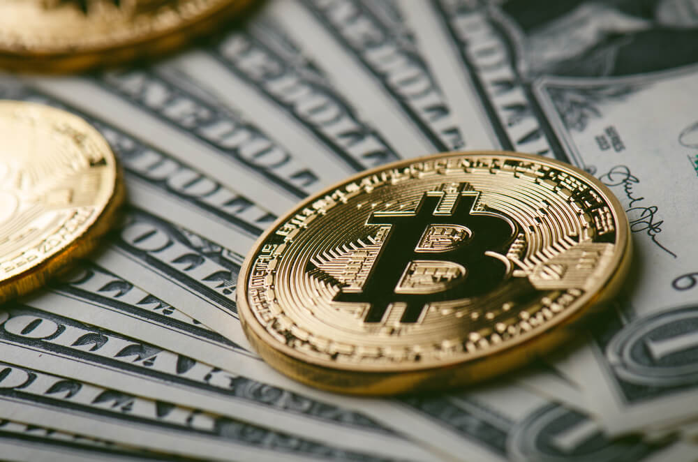 cum se calculează profitul în bitcoin