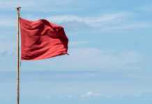 5 Red Flags to Look for in No Deposit Bonus Terms of Service