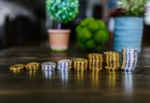 What Are the Risks of Investing in Cryptocurrency in 2024