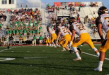 4 Best Business Opportunities For Those Who Love Sports