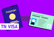 Do You Need a Job Offer for a TN Visa – 2024 Guide