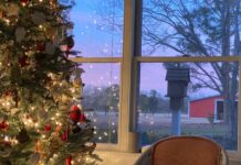 Christmas Travel: The World’s Most Magical Destinations