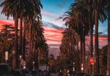 A Music Fan’s Guide to LA