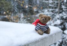 DIY Ideas To Make Your Own Teddy Bear At Home