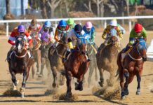 An Overview of Horse Racing Through the Ages