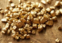 Benefits Of Ormus Monoatomic Gold For Your Immune System