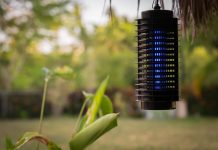 5 Best Mosquito Traps That Don’t Zap 2024