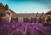 5 Tips for Exploring Provence Off the Beaten Path