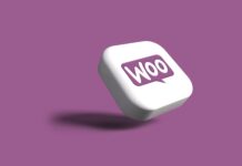 How to Create a Startup Strategy for Your Woocommerce Store?