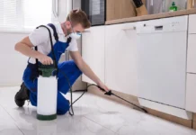 DIY Pest Control Tips: How To Pest Proof Your Home