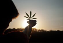 A Guide to Investing in the Cannabis Industry