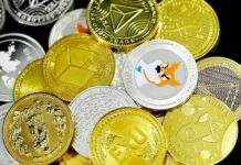 Which Cryptocurrencies Aren’t Centralized? 5 Things To Know