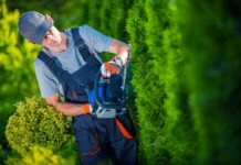 How to Start a Landscaping Business