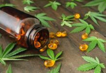 Comprehensive Guide for CBD Capsules: Things You Need to Know